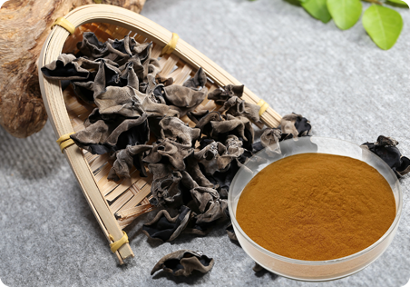 Mushroom Extract